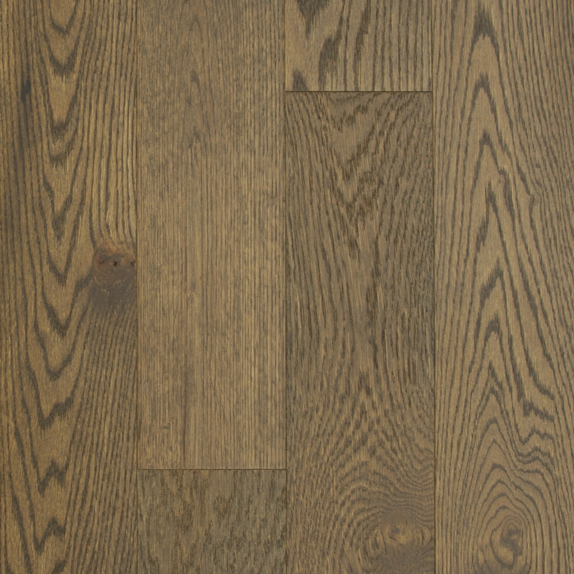 White Oak Zeus