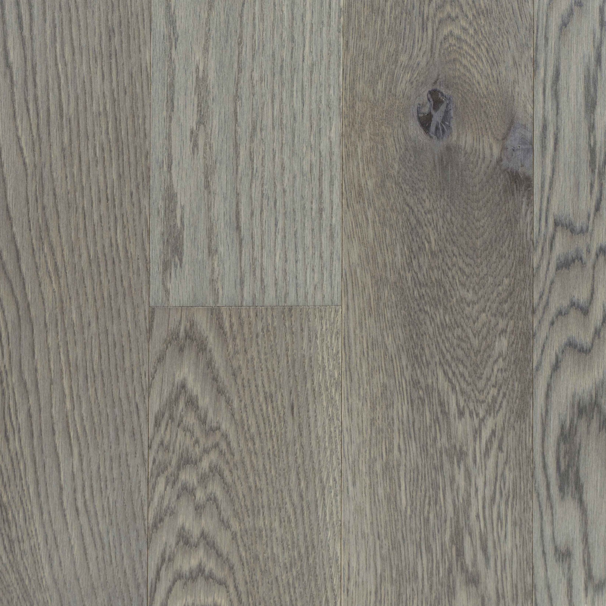 White Oak Apollo