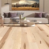 Maple Natural - ambiance